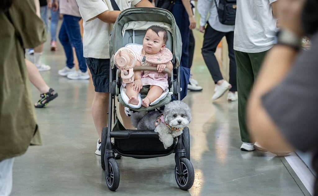 Family dog resting calmly near a baby at home