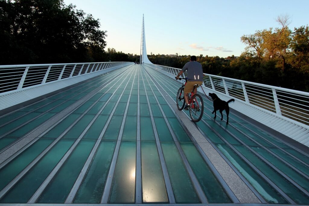 5 Best Dog Accessories for Bikes