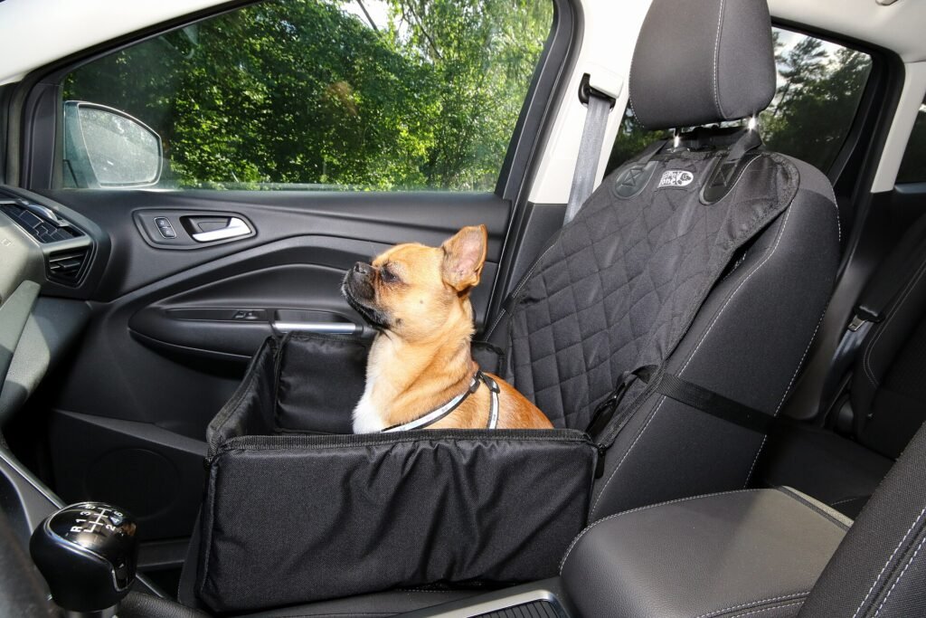 7 Best Car Accessories for Dog Owners