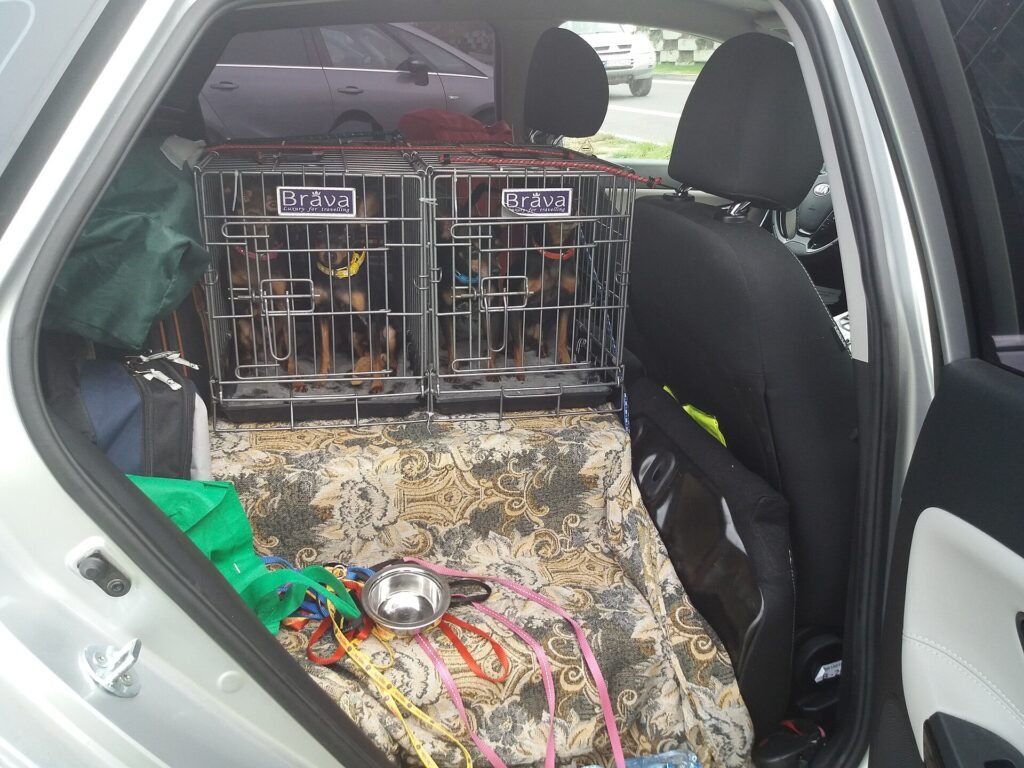 Where Is the Best Place To Put a Dog Crate in The House