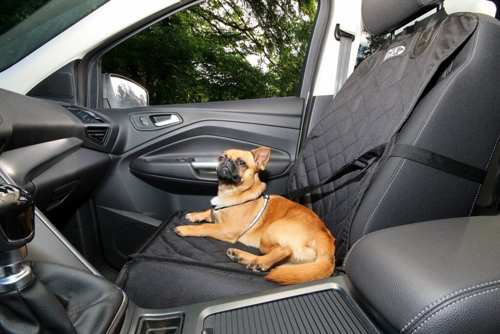 7 Best Car Accessories for Dog Owners