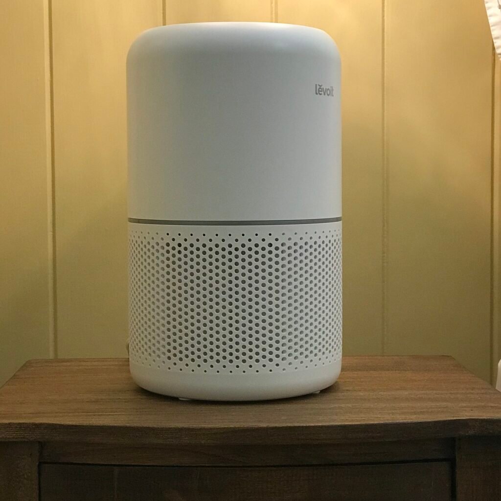 A compact air purifier running in an apartment living room to help control dog odor