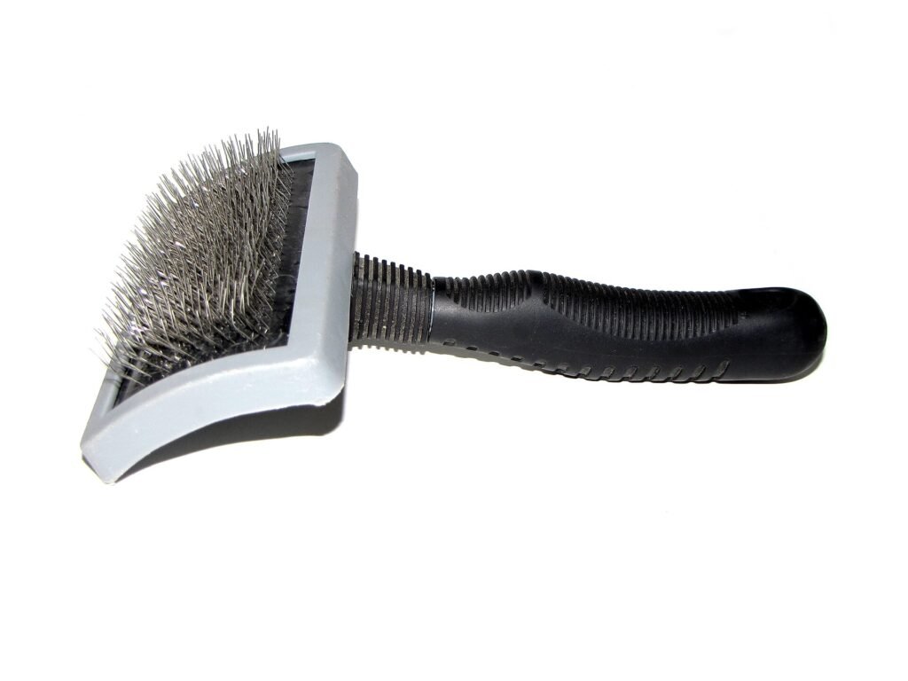 Slicker brush used to remove loose dog hair