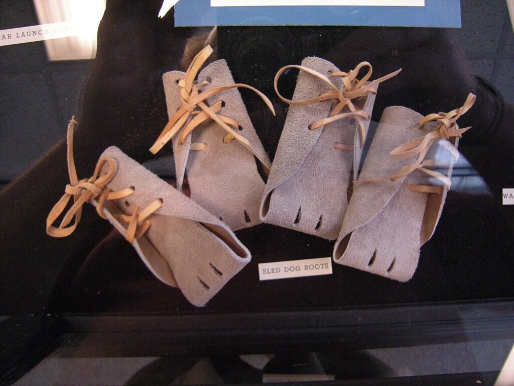 Four leather lace-up dog boots laid out in a display case