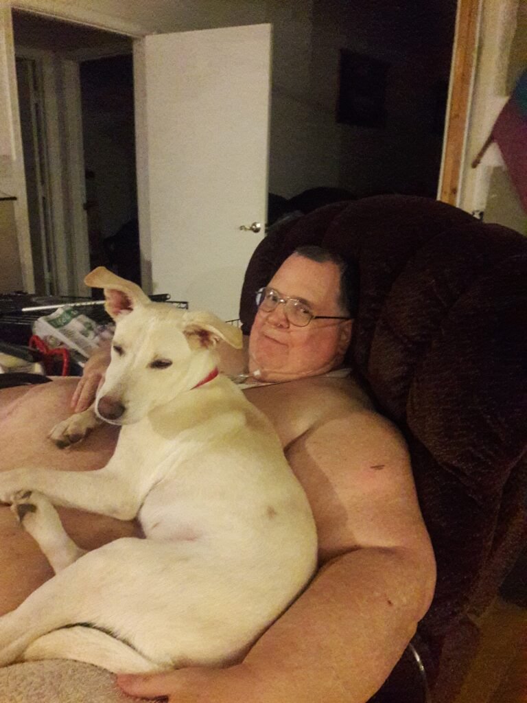 Dog dozing on its owner's lap