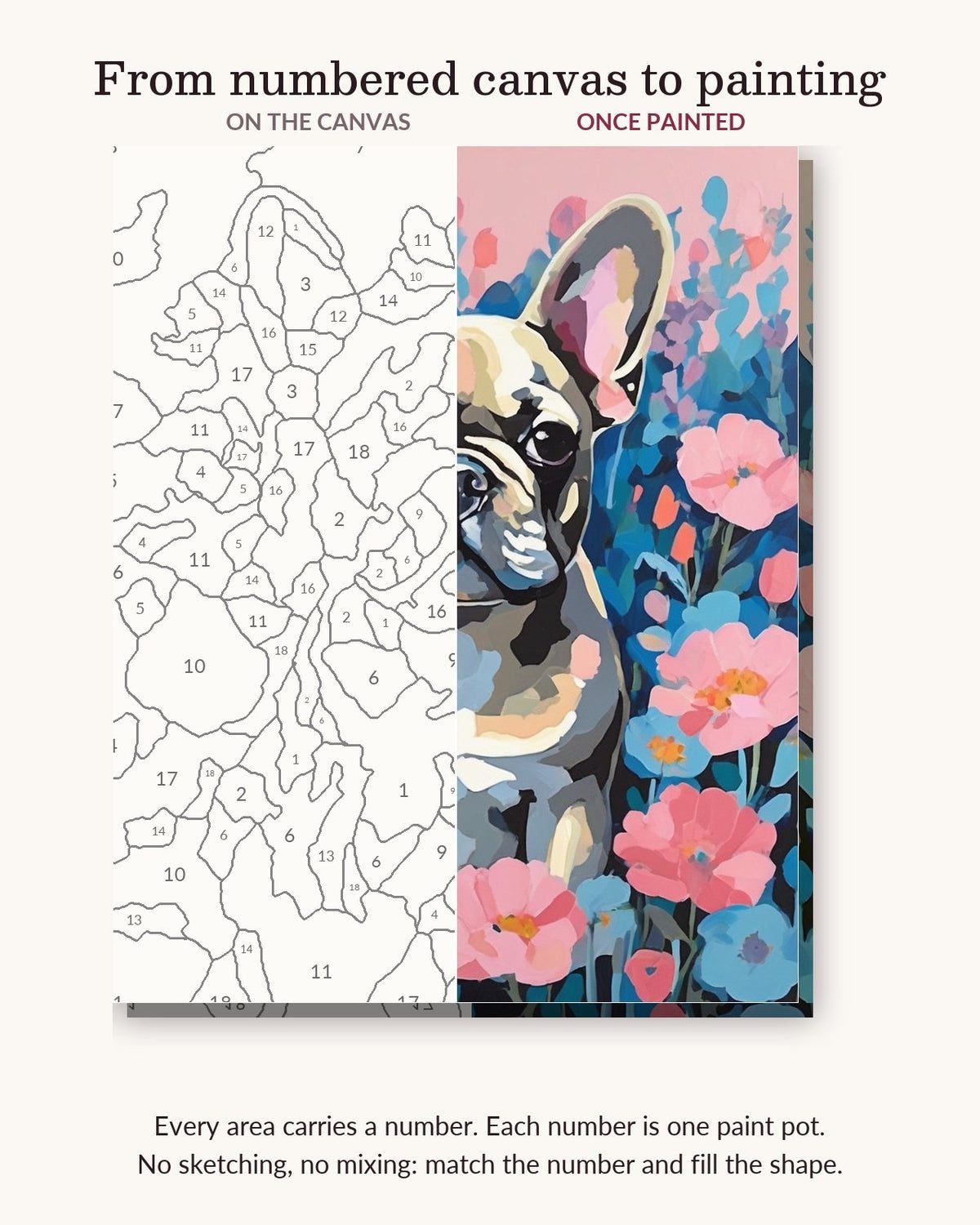 Numbered paint-by-numbers canvas next to the finished painting of a French Bulldog