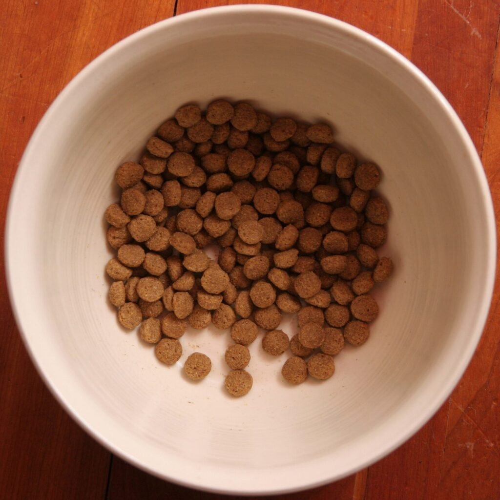 A bowl of dry kibble seen from above