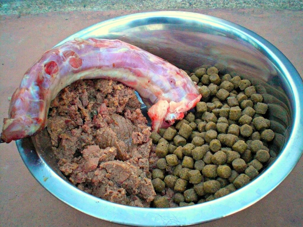 Moist, dry and raw dog food shown side by side