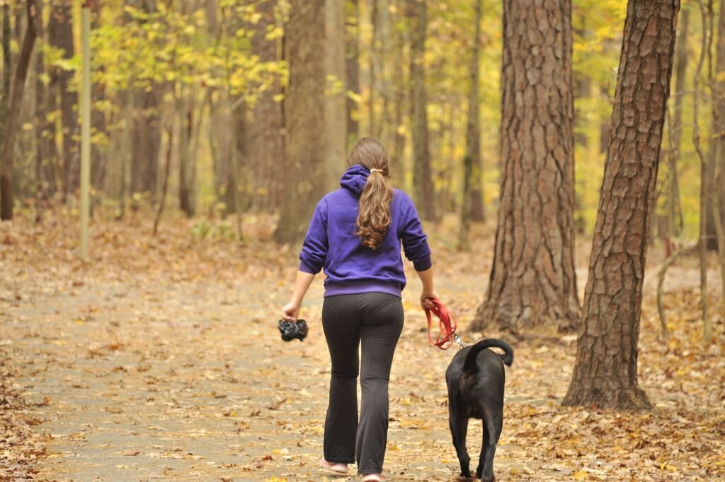Woman walking a black dog on a loose leash along a woodland trail in autumn