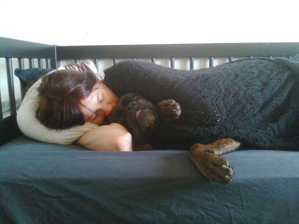 A person asleep in bed with a dog settled against their legs